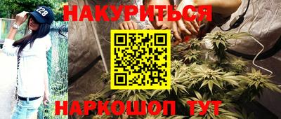 сатива Коммунар