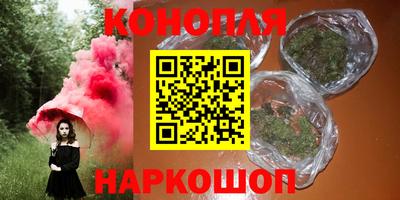 сатива Коммунар
