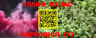 сатива Коммунар