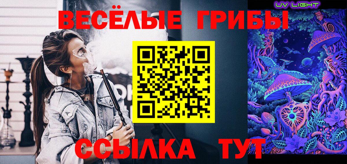 Карпинск  Псилоцибиновые грибы прущие грибы  Вход с VPN 